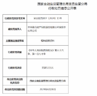 中华联合财险宜昌中心支公司被罚12万元：因编制虚假资料